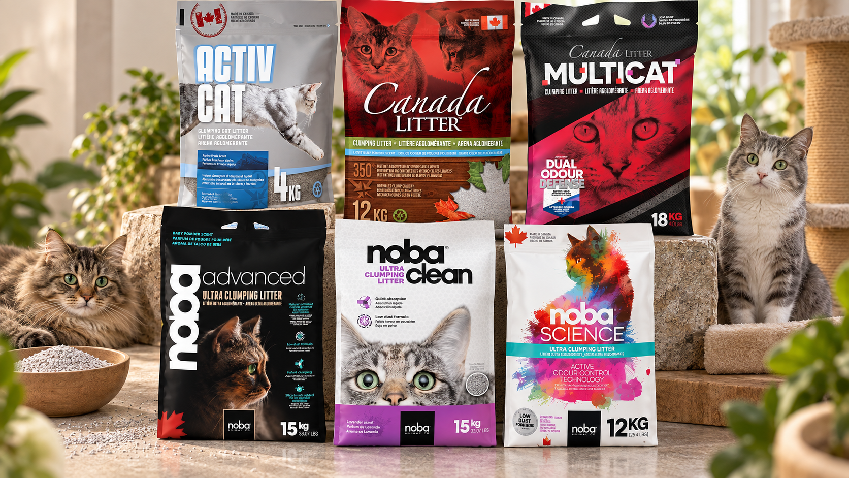 Arena para gatos al por mayor en Panamá — Canada Litter, ActivCat, Noba Advanced, Noba Clean, Noba Science — VigoPets